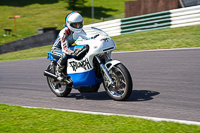 Vintage-motorcycle-club;eventdigitalimages;mallory-park;mallory-park-trackday-photographs;no-limits-trackdays;peter-wileman-photography;trackday-digital-images;trackday-photos;vmcc-festival-1000-bikes-photographs